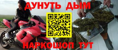 шишки Новокубанск