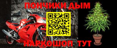 шишки Новокубанск