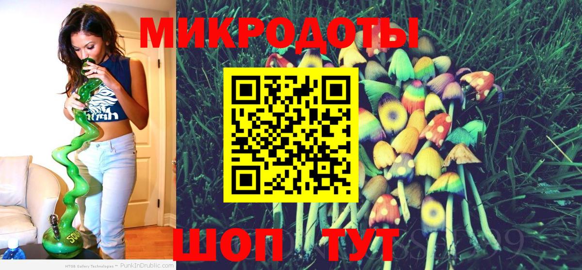 Псилоцибиновые грибы Psilocybine cubensis Салехард
